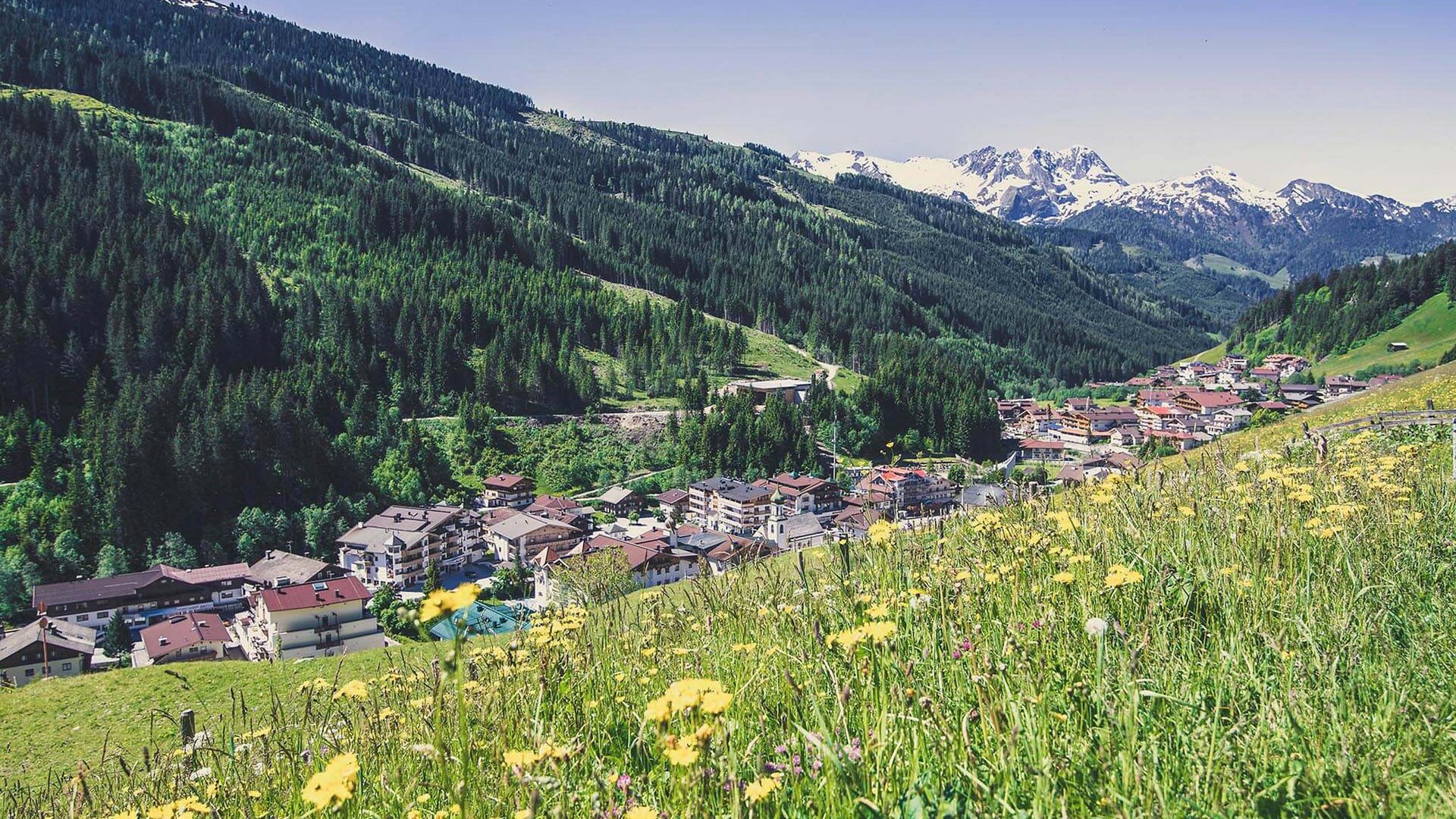 Rund um Gerlos • Der Grubacher: Biohotel in Tirol